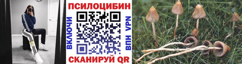 darknet наркотические препараты  где купить   Белоусово  Галлюциногенные грибы MAGIC MUSHROOMS 